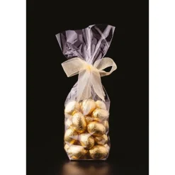 10 Sachets Polypropylene Fond Carton + Liens