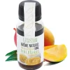 Arome Naturel De Mangue Biologique 50 Ml