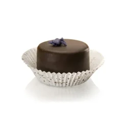 Caissettes Cuisson Sienne 55 X 32 Mm (X1000)