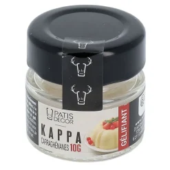 Carraghenanes Kappa Patisdecor 10 G