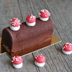 Champignons Rouges Comestibles 30 G