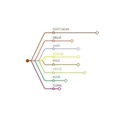 Chocolat De Couverture Noir Origine Mexique 66 % 1 Kg