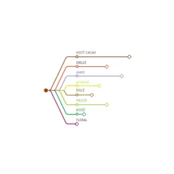Chocolat De Couverture Noir Origine Venezuela 72 % 2,5 Kg