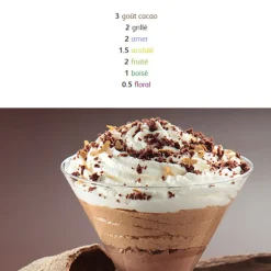 Chocolat De Couverture Noir Passy 70 % 2,5 Kg