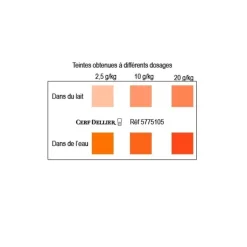 Colorant Poudre Alimentaire Orange Or 100 G