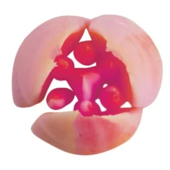 Douille A Fleur Inox N 4 Patisdecor