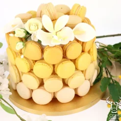 Dummy Rond Contours Droits H 10 Cm Patisdecor