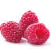 Extrait De Framboise 20% Patisdecor 50 Ml