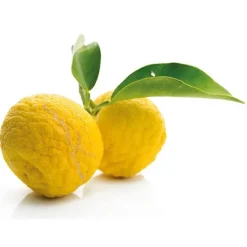 Extrait De Yuzu Patisdecor 50 Ml