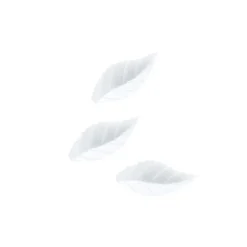 Feuille De Rose 38 Mm Blanche (X500)