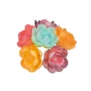 Grandes Roses Assorties Nuancees (X36)