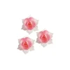 Jonquille Rose Et Blanche (X28)