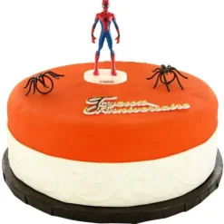 Kit Decor Gateau L'Homme Araignee