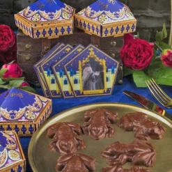 Kit Moule A Chocolat Chocogrenouilles Harry Potter