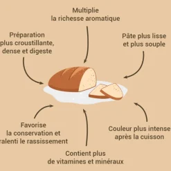 Levain De Ble Dur Patisdecor 150 G