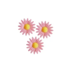 Marguerite Rose (X100)