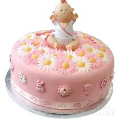 Marguerites Assorties Roses Et Blanches (X100)