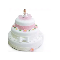 Marguerites Assorties (X12)