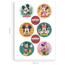 Mini Disques Azyme Mickey Minnie (X6)