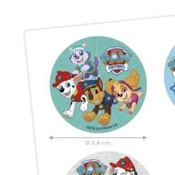 Mini Disques Azyme Pat Patrouille (X6)