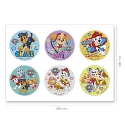 Mini Disques Azyme Pat Patrouille (X6)