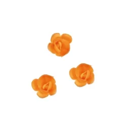 Mini-Rose Abricot (X72)