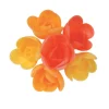 Mini-Roses Assorties Arome Fruits Exotiques (X72)