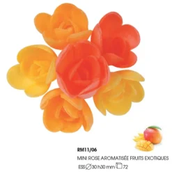 Mini-Roses Assorties Arome Fruits Exotiques (X72)