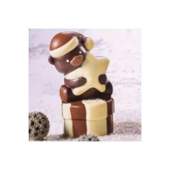 Moule Chocolat Ourson Etoile 3D