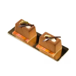 Moule Silicone 10 Lingots 6 X 4 Cm