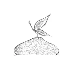 Moule Silicone Citron Pavoni