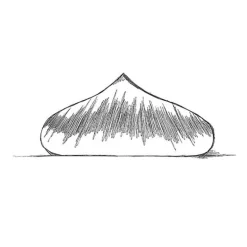 Moule Silicone Noisette Pavoni