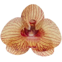 Orchidees Jaunes Azyme (X10)