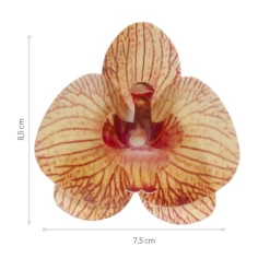 Orchidees Jaunes Azyme (X10)