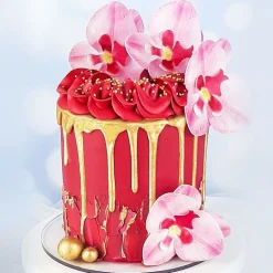 Orchidees Roses Azyme (X10)