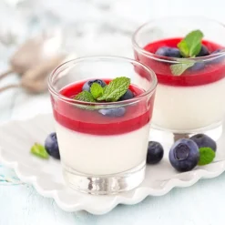 Panna Cotta Sans Cuisson Ancel 1,2 Kg - Ddm 04/23