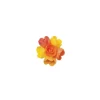 Petite Rose Arome Fruits Exotiques (X72)