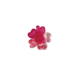 Petite Rose Arome Fruits Rouges (X72)