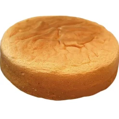 Preparation Génoise Patisdecor Bio 300 G