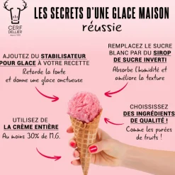 Stabilisateur Pour Glace Patisdecor 125 G