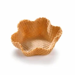 Tulipe Gaufre 10,5 Cm (X 24)